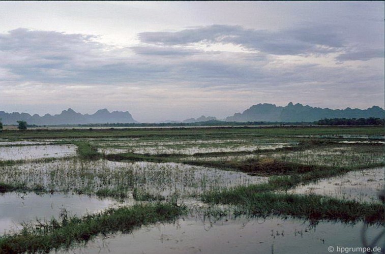 Rural scenery of Ninh Binh