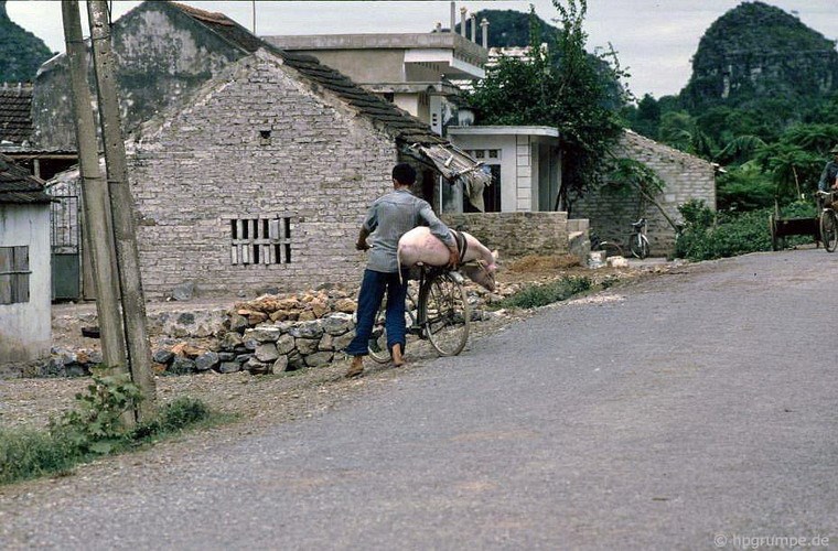 Village road in Hoa Lu