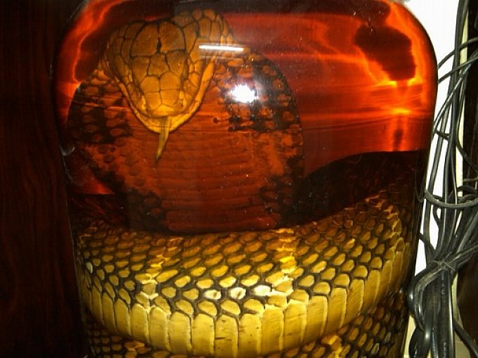 Ruou Thuoc (Medicinal liquor)