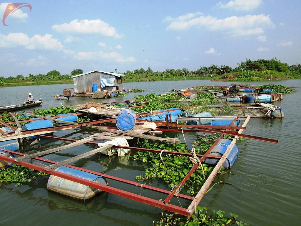 An Binh island