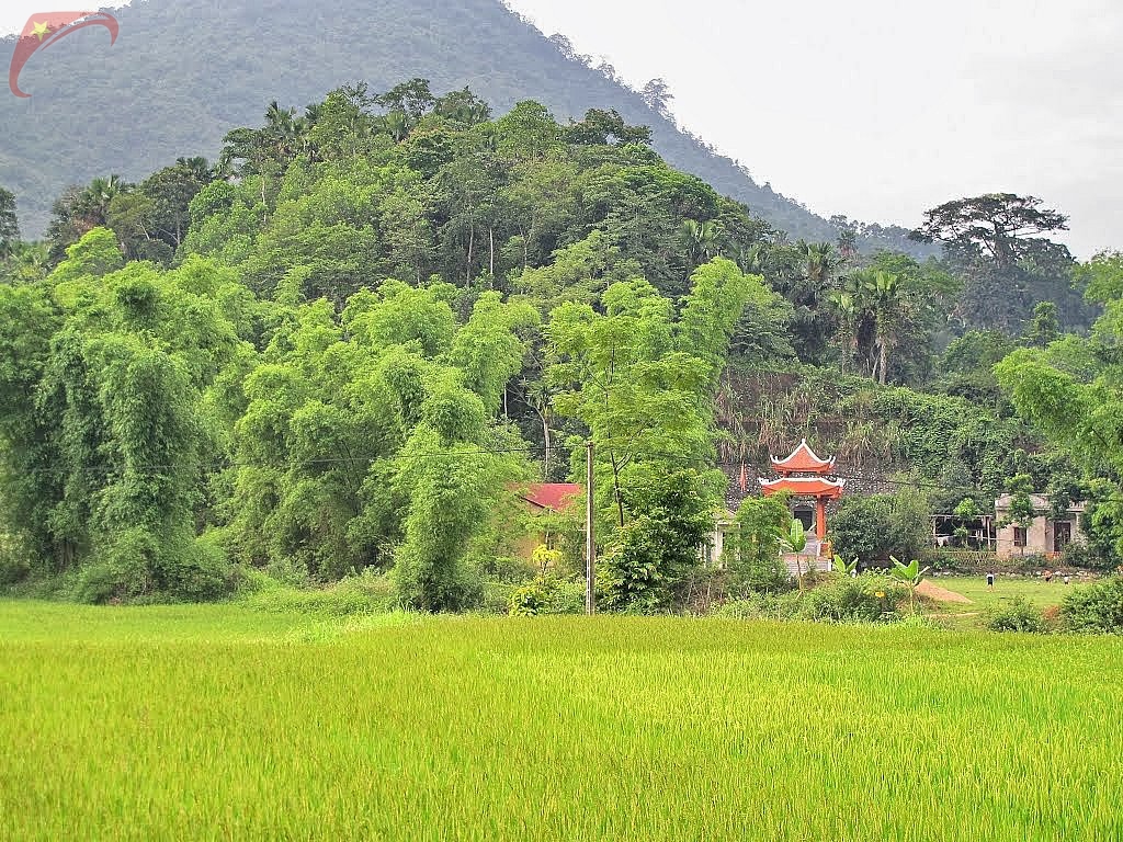 ATK Dinh Hoa