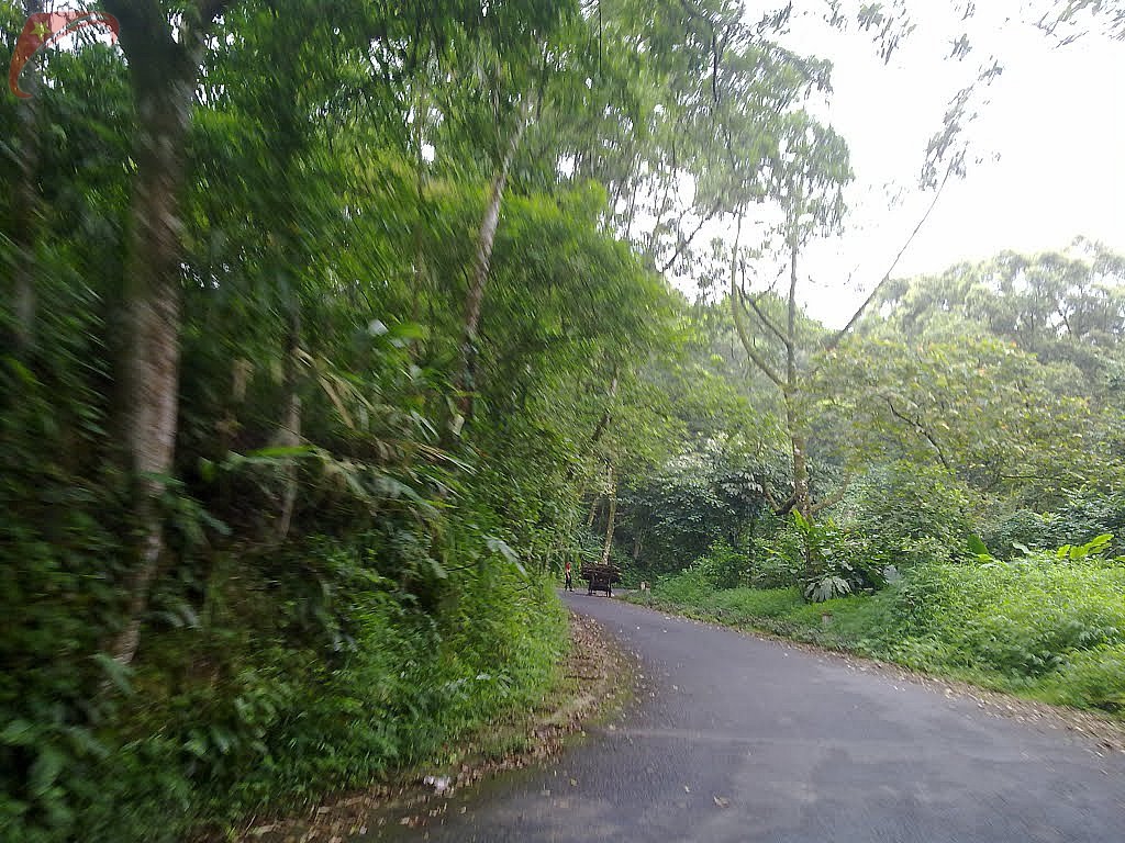 Ba Vi national park