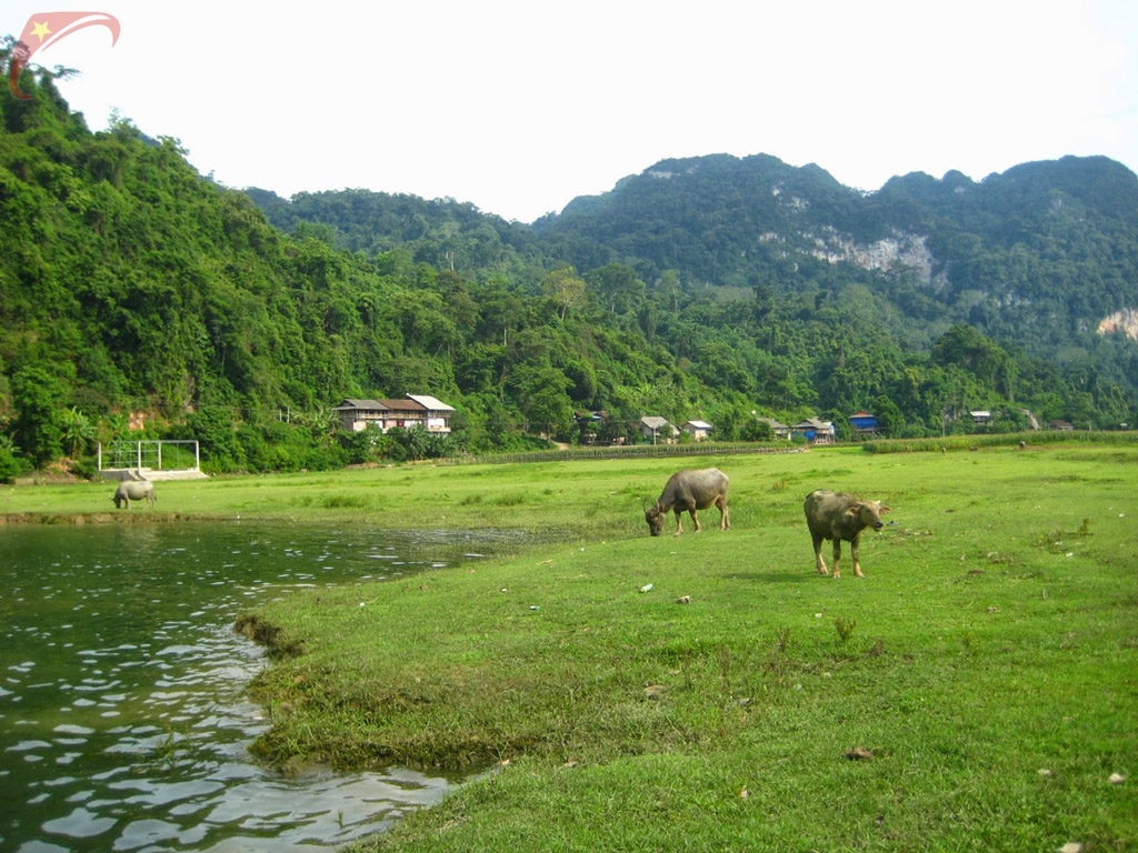 Ba Be district