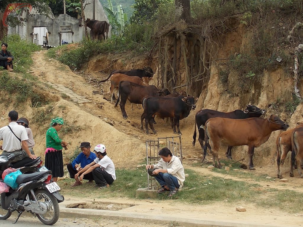Bao Lac district