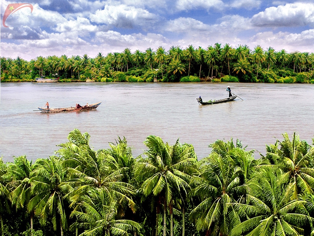 Coconut land Ben Tre