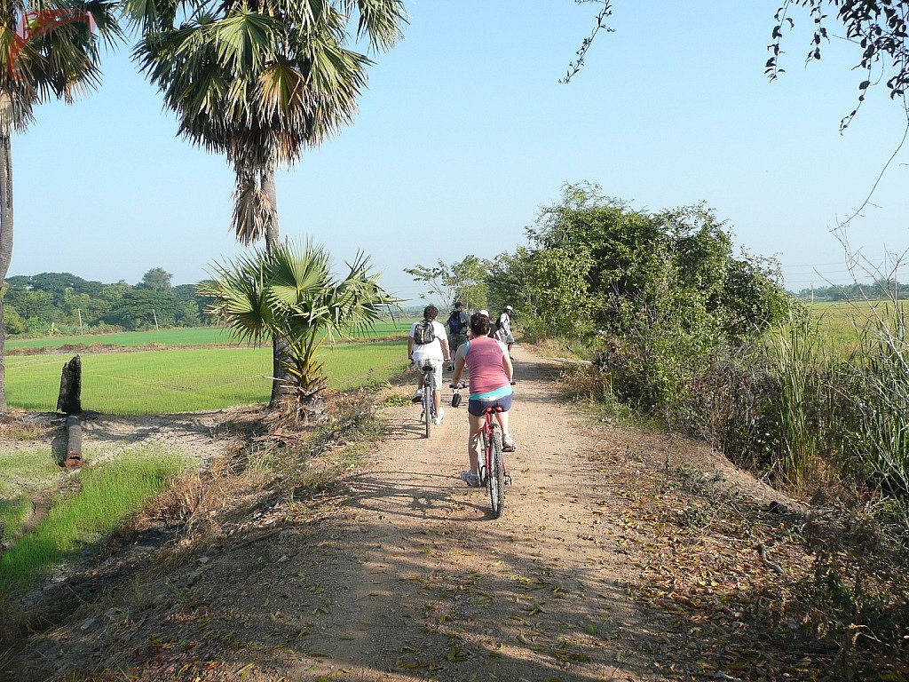 Country road
