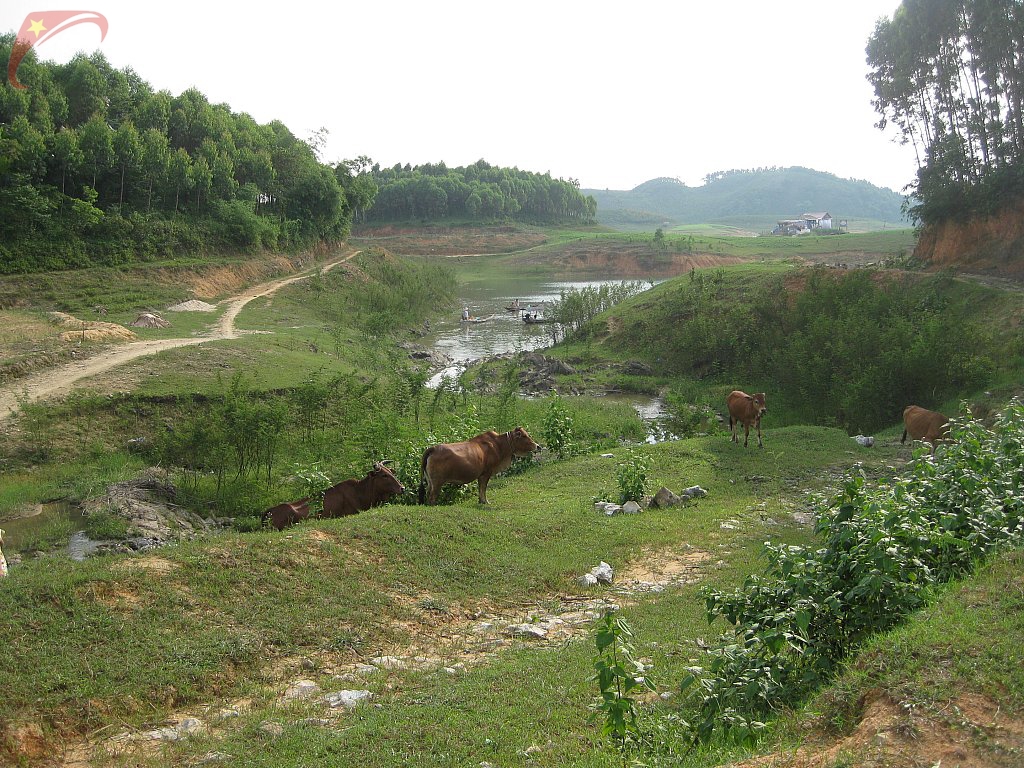 Doan Hung district