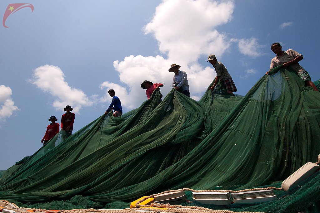 Hanging net
