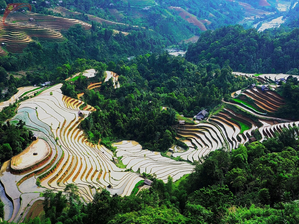 Hoang Su Phi district