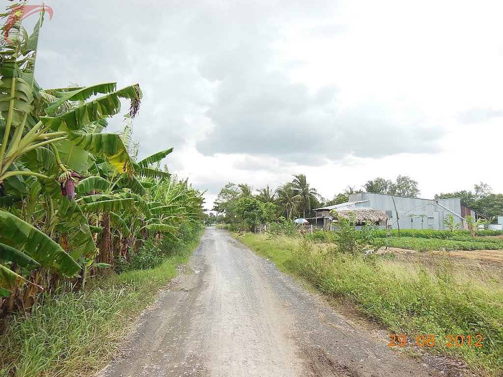 Long Hoa district