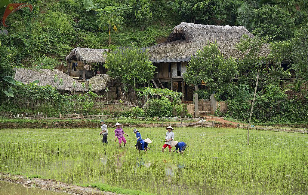 Hill tribe people
