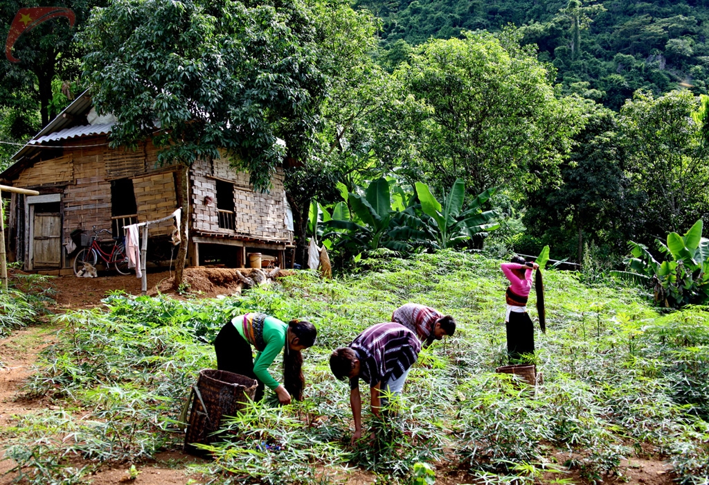 Mai Hich village in Mai Chau