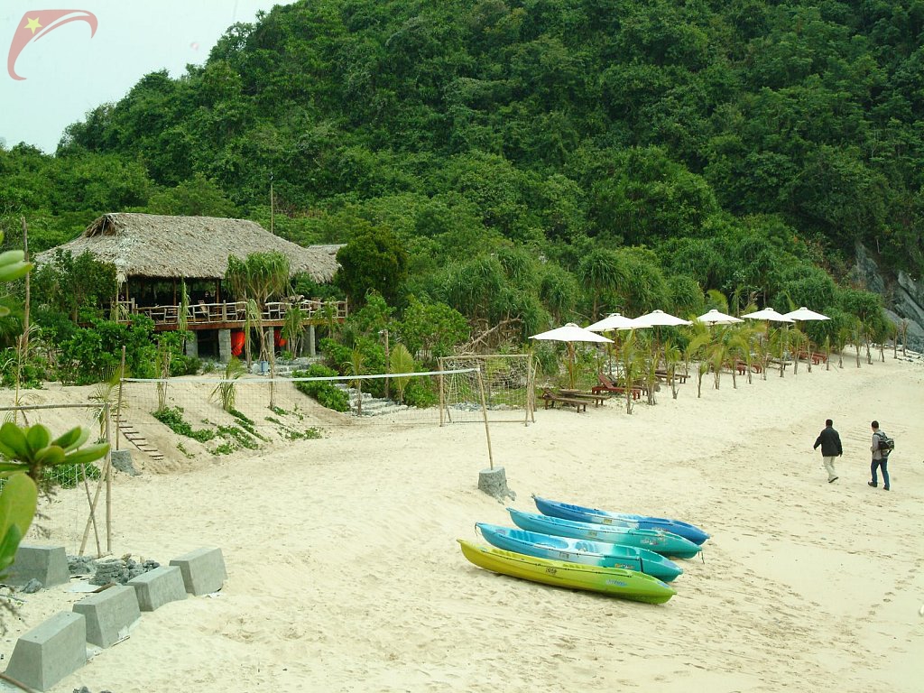 Monkey island resort