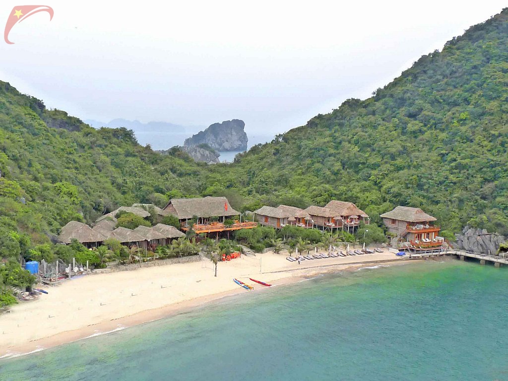 Monkey island resort