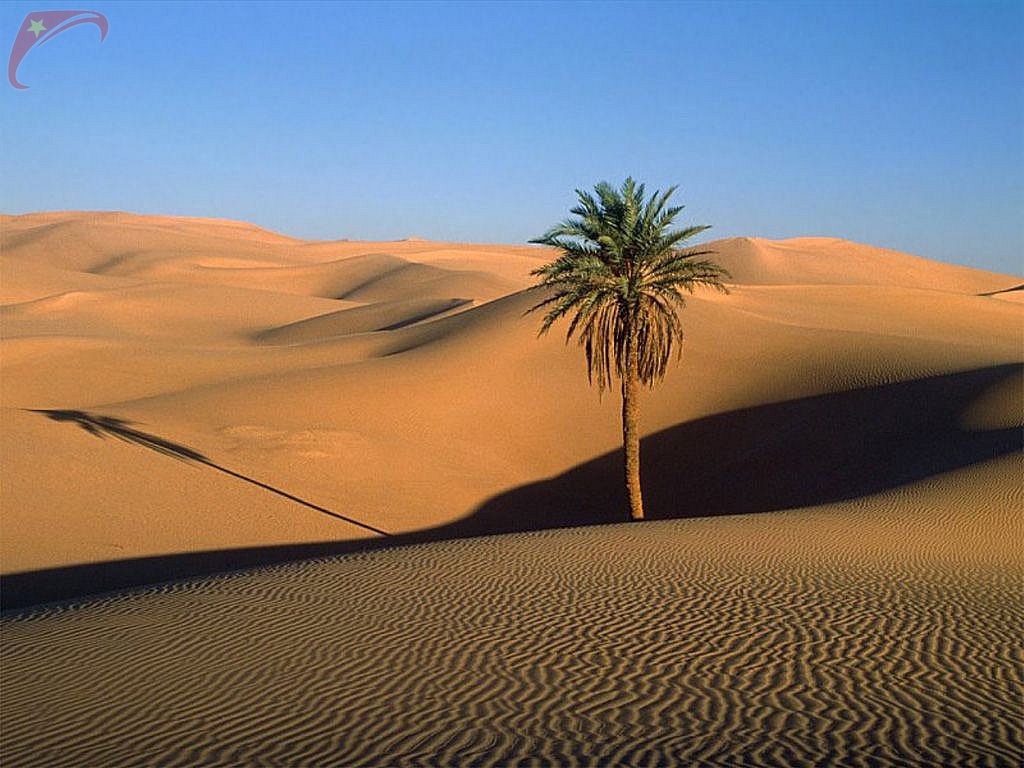 Sand dunes