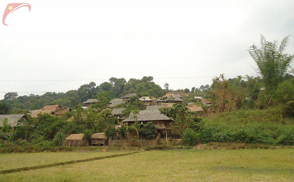 Muong Thanh field