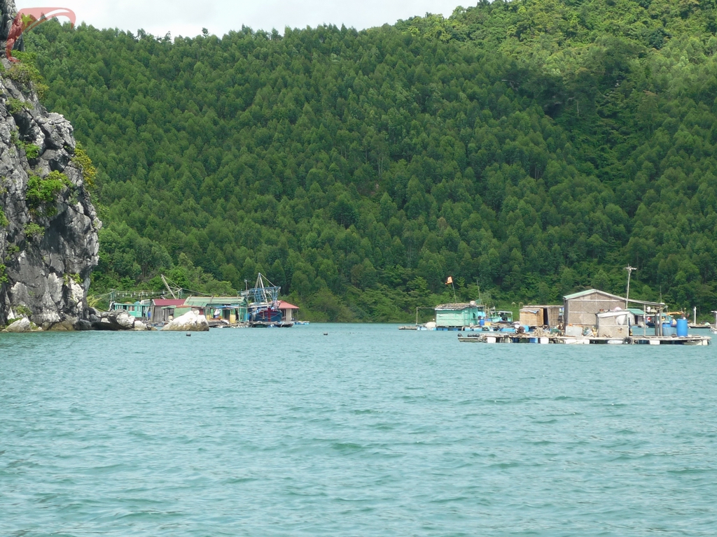 Ngoc Vung island