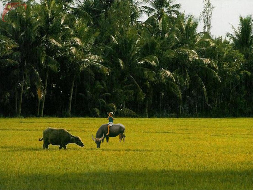 Peaceful life
