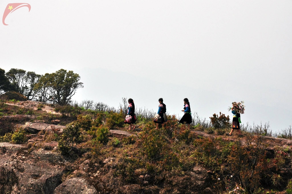 Pha Luong peak
