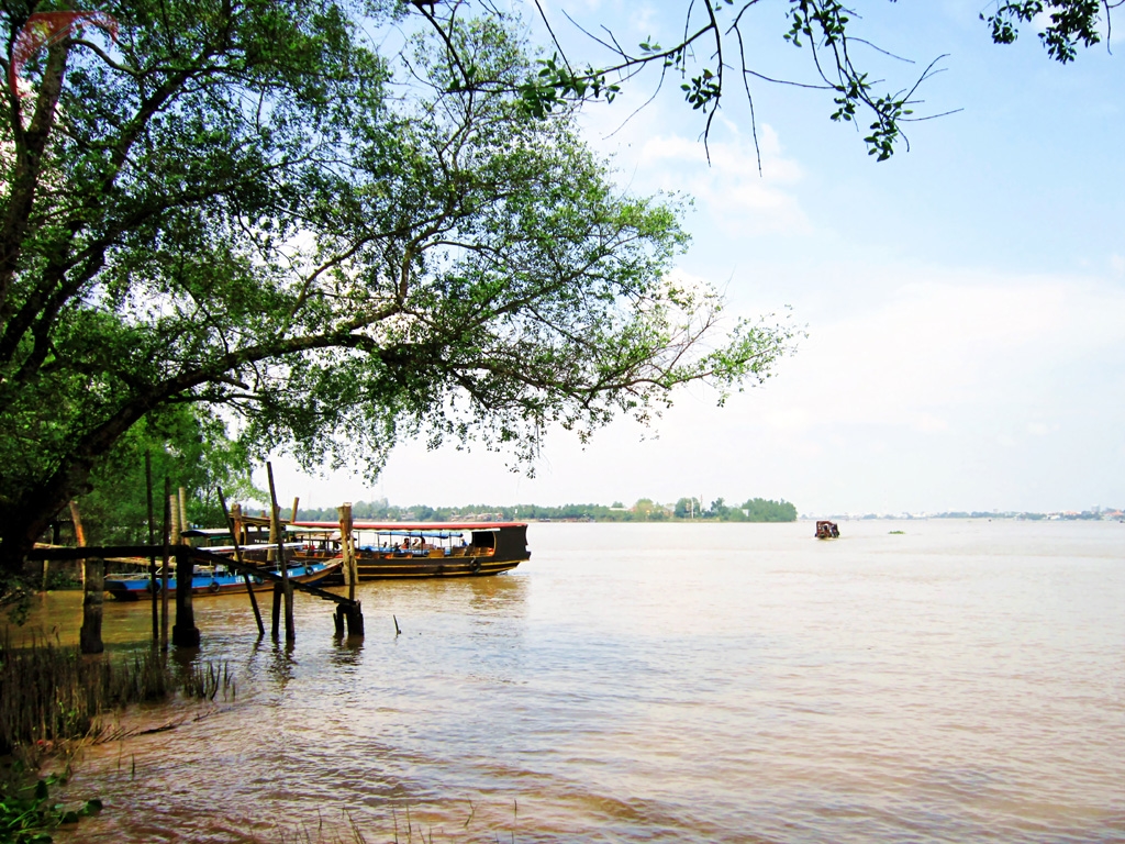 Phung island