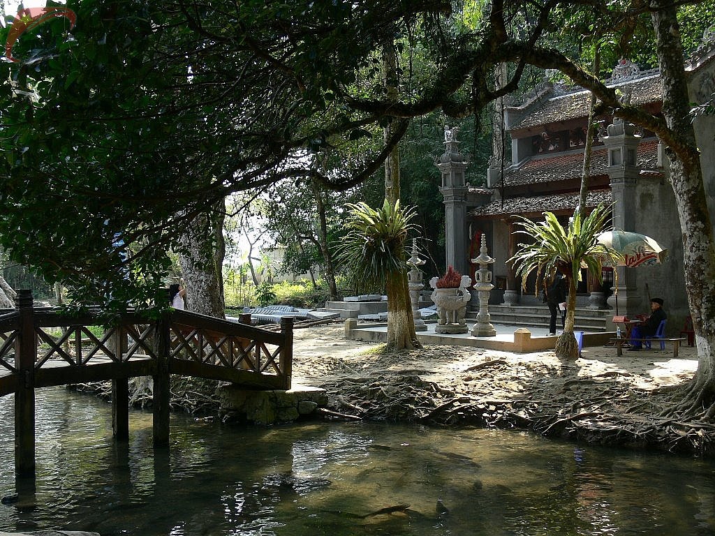 Snake temple in Cam Thuy