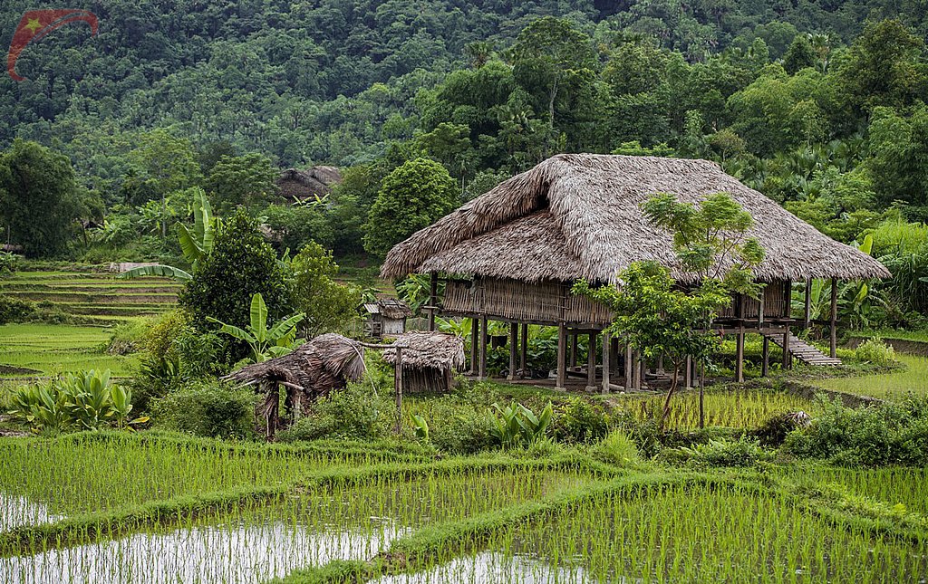 Stilt house