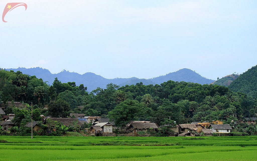Tan Son district