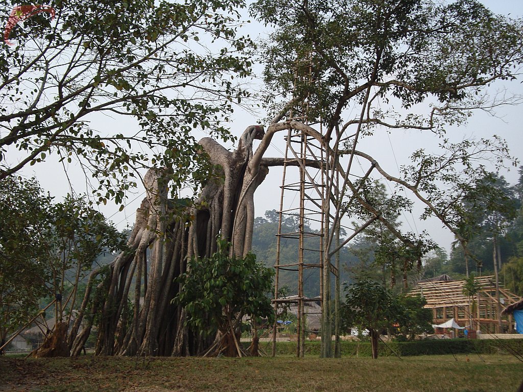 Tan Trao historical site