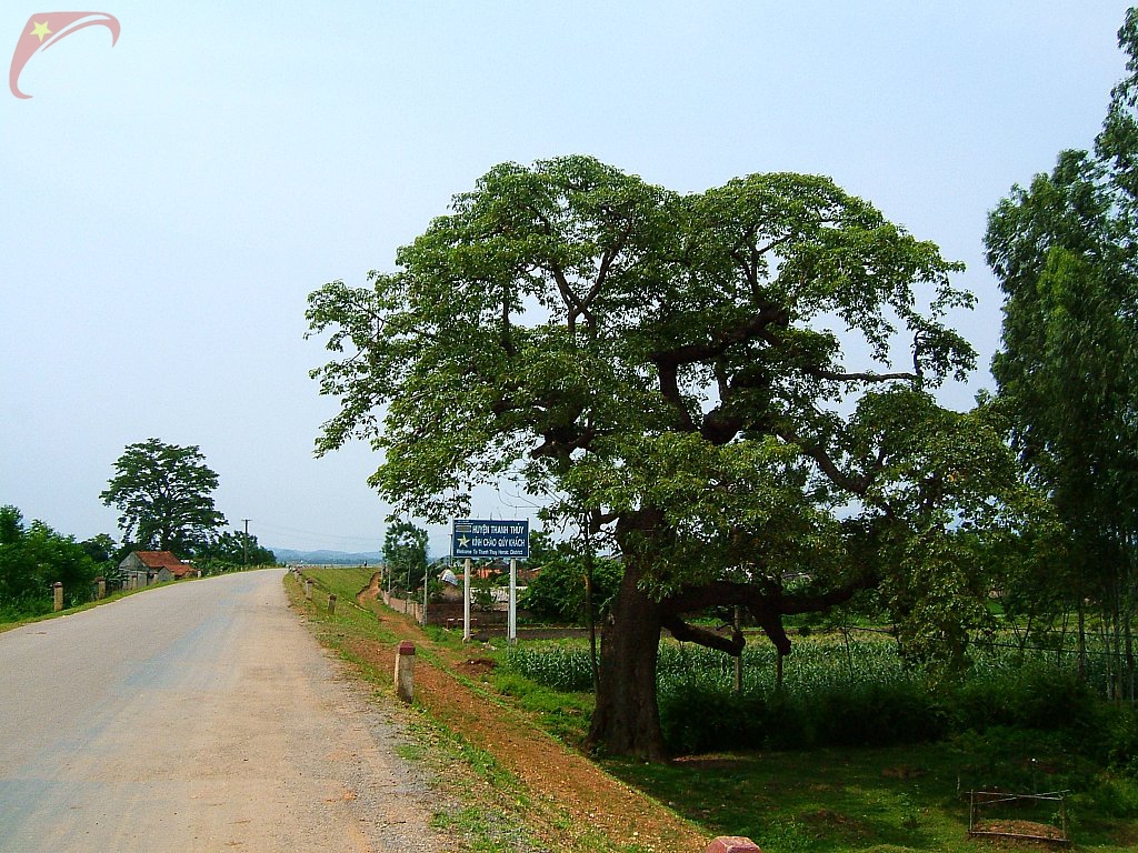 Thanh Thuy district