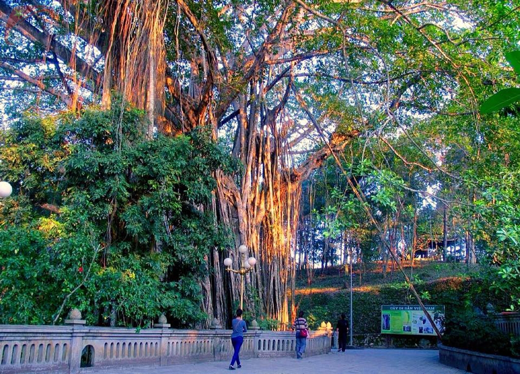 Thuong temple