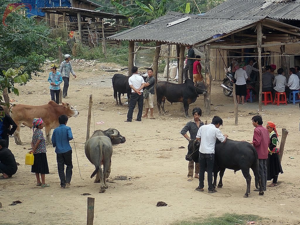 Tra Linh market