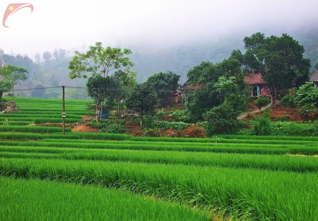 Tran Yen district