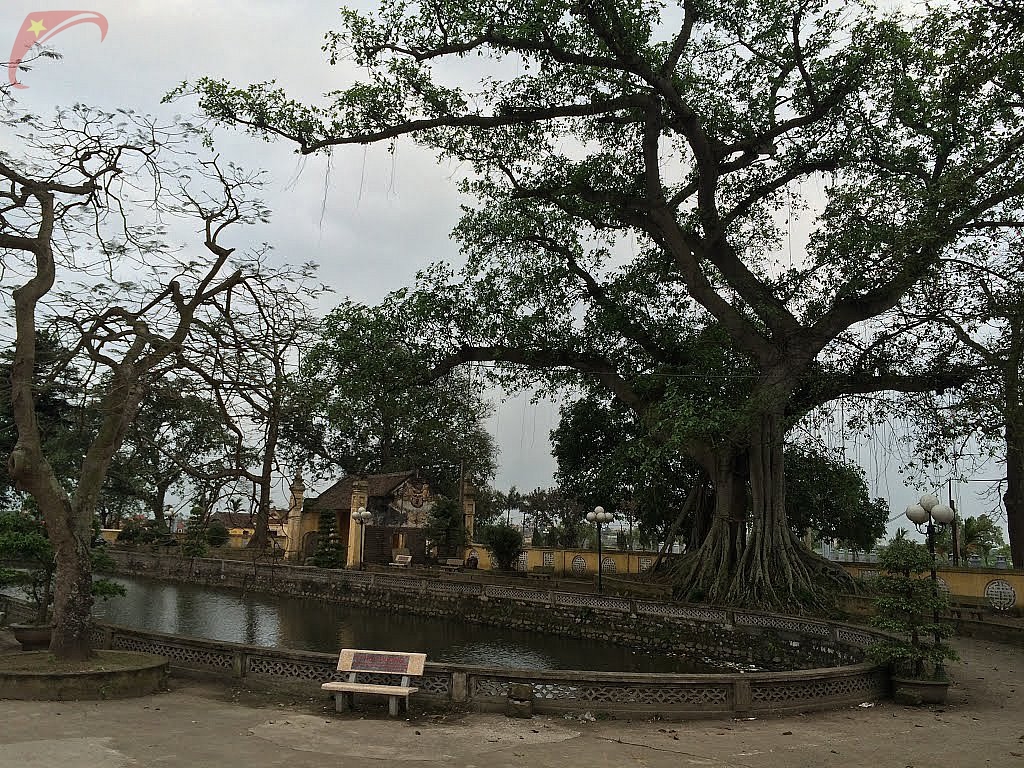 Trong pagoda