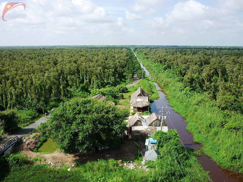 U Minh Forest in Ca Mau
