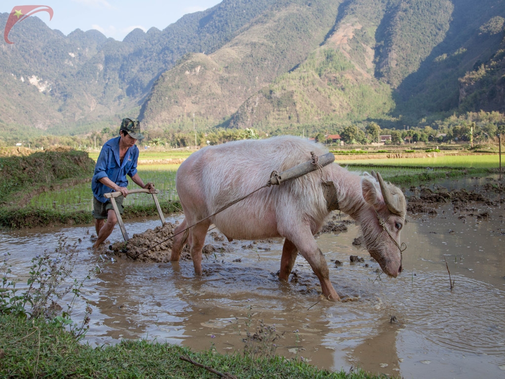 Ploughing