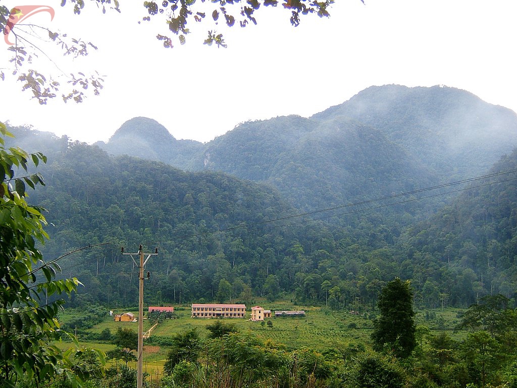 Xuan Son national park